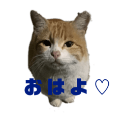 yun_20220818085219