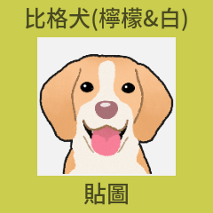 比格犬(檸檬&白)