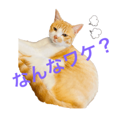 mizuki_20220818110441