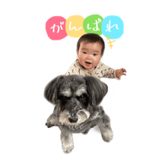 okaichi_20220818110655