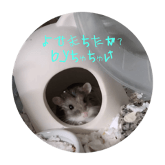 SUZU_20220817222059