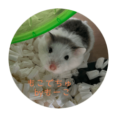 SUZU_20220817220914