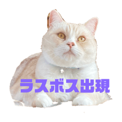 yun_20220818155045