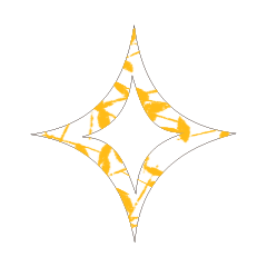 Colorful STAR_11