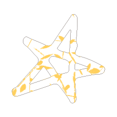 Colorful STAR_14