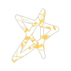Colorful STAR_13