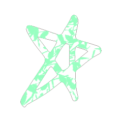 Colorful STAR_23