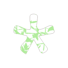 Colorful STAR_19