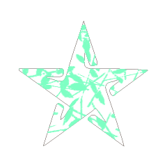 Colorful STAR_27