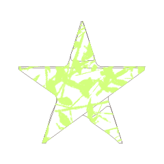 Colorful STAR_28