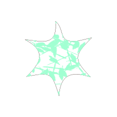 Colorful STAR_29