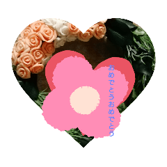 hanami_20220818015141