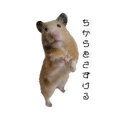 Purico_20220818142426