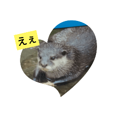 misa_20220818130026