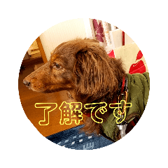 Yukari_20220818131056