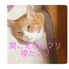 yun_20220818171611