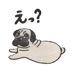 さくしんの日常スタンプ　パグ犬