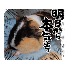 kuu_20220818175135