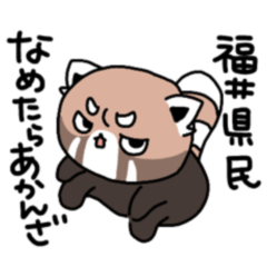 Mr.lesser panda_fukui