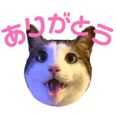 suzu_20220818215217