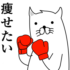KOORIYAMA CAT 2