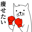 KOORIYAMA CAT 2