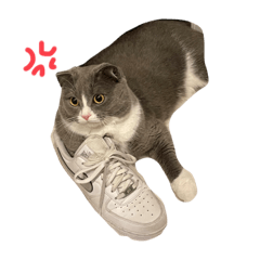 shiho_20220818225402