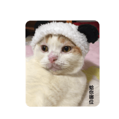 嘛嚕の日常