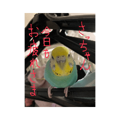 Sayuri_20220818233614