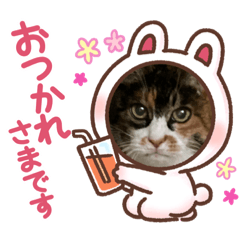 rinrin_202208