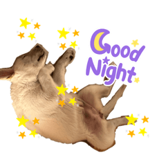 yukari_20220819101715