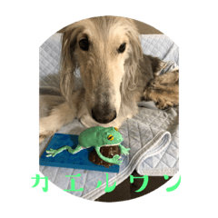 ジョニースタンプ第二弾