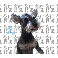 Ka-wa-sa-ki-Cookie-chan1