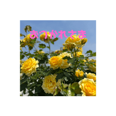 smile_20220819103401