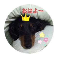 misa_20220819125131