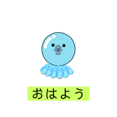 hiyori_20220819131630