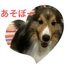Naho_20220819144706