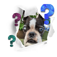 sayuri_20220819124050