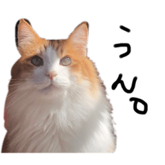 natsumi_20220819140825