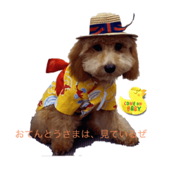 YUKA_20220819151037