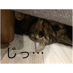 d_20220819151553