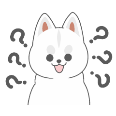 marutto shiba inu1 shiro