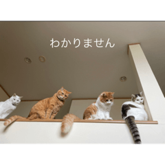 hs_20220819153223