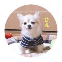 yuka_20220819171336