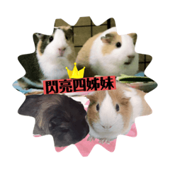 閃亮四姊妹之94月巴