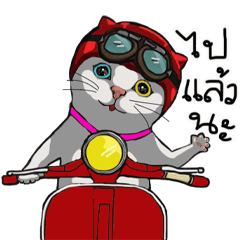 GoGicat
