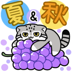 Loosely Manul cat12