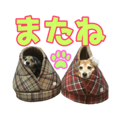 Eririn_20220819191624