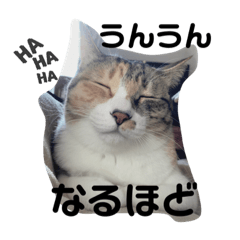 hanya.mozuku_20220819214154