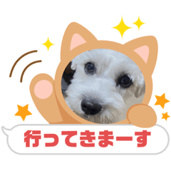 tomomi_20220819220530